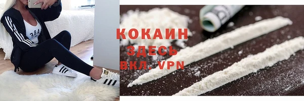 гидра Гусь-Хрустальный