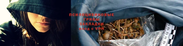 альфа пвп Горно-Алтайск