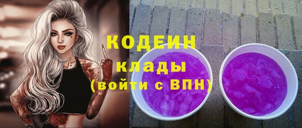 дмт Горняк