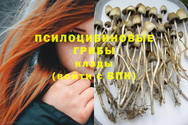 дмт Горняк