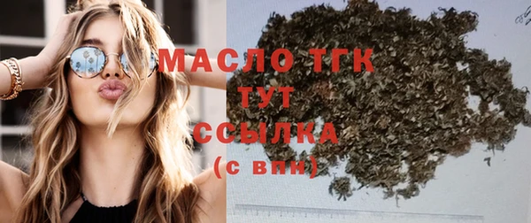 гидра Гусь-Хрустальный