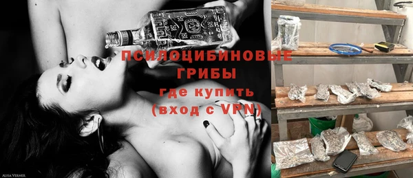 альфа пвп Горно-Алтайск
