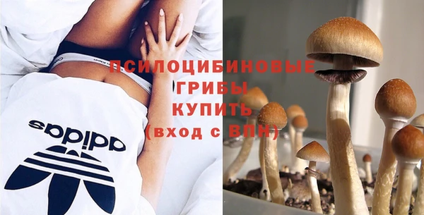 альфа пвп Горно-Алтайск
