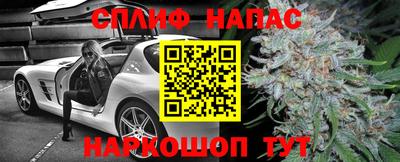 сатива Гусиноозёрск