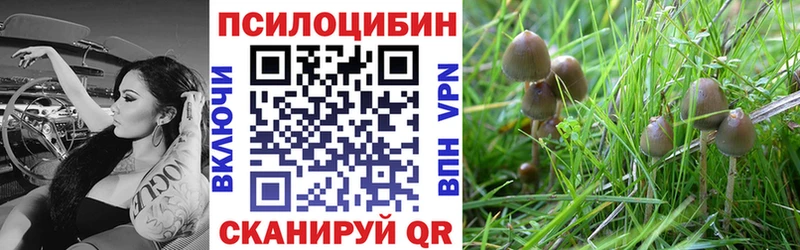 что такое наркотик Десногорск Галлюциногенные грибы прущие грибы
