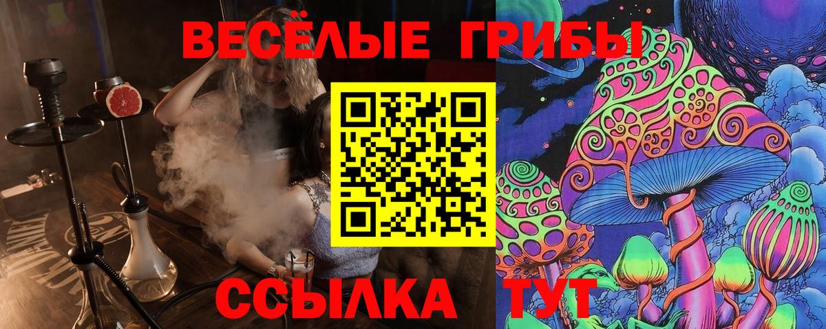 Галлюциногенные грибы ЛСД  где купить наркотик  Десногорск  Вход с VPN 