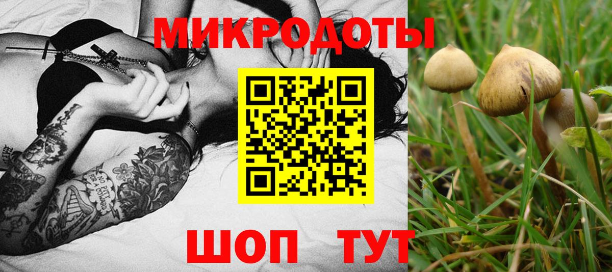 Псилоцибиновые грибы GOLDEN TEACHER  купить закладку  Десногорск 